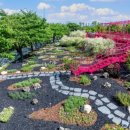 뚝섬한강공원-50 이미지