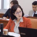 김현아 이미지