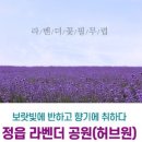유원정비센타
