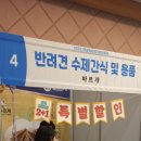 오늘도 바르개 이미지