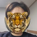 아림치과병원 이미지