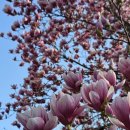 농협대학교 | 고양시 신중년캠퍼스 도시농업 텃밭과정 시작, 농협대학교 첫 수업 후기