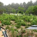 금동산야 이미지