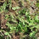 농산물 소개소 이미지