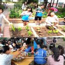 서평초교 이미지