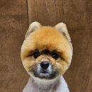 멜팅그루밍 이미지