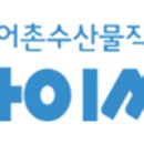 바이씨
