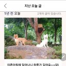클로버 하우스 이미지