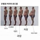 청년피자 화명점 | [2025 12월 3주차 취준일기] 한전 인턴 5주차: 취준생인데 공부안한 쉬었음 청년 (12/15(월)~12/21(일))