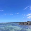 초록빛하루 이미지