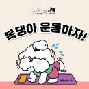 이씨네복덕방 네이버블로그