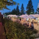 포항 색소폰 문화예술축제 이미지