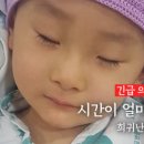 청마장 이미지