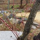 도곡온천 이미지