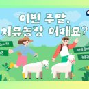 쉼표가 필요한 당신에게... 스트레스 번아웃 이미지