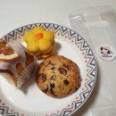 꼬소한지수네 이미지