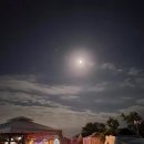 글램핑판 이미지