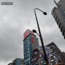 크린맨세탁 | 명동 12층 다이소 방문 후기 :: 다이소 명동역점 영업시간 층별 추천템 재고조회