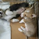 세광상사 이미지