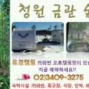 금관절경 이미지