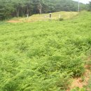 빛들마을 이미지