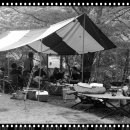 닭갈비도시 이미지