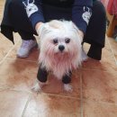 덕산보건진료소 이미지