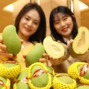 그린망고
