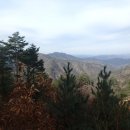 자작나무숲민박 이미지