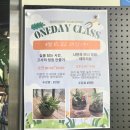 비마이플랜트 | 양평 비마이가든 | 옥천 브런치카페 추천, 감성 가득한 지중해 브런치 맛집