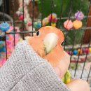 세용농장 이미지