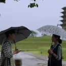 주식회사 인우 이미지