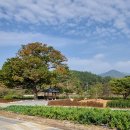 연정1리 이미지