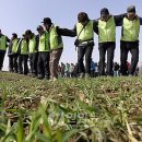 한강시민공원(화훼단지) 이미지