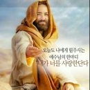 펌글 / 샬롬의 옷 이미지