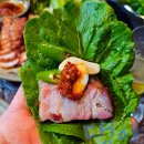 정선 황토 펜션 | 여름 계곡펜션추천 정선 반딧불이 황토펜션