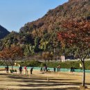 📰 제 5회 청도군 협회장배 파크골프대회 이미지