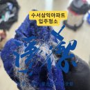 삼익2차(아) | 수서삼익아파트 입주청소 후기｜반려묘 털·모래 ‘하부장 탈거’하니 진짜가 나왔습니다 🐾✨