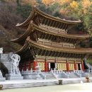 야단법석 이미지