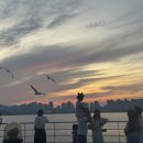 홍지마을 | 행복하세요? 네.