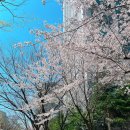 메디팜포도마을약국 이미지