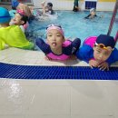 흑추관 합기도 이미지