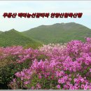 전남 화순 안양산~광주 무등산 철쭉산행 이미지