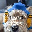 강아지 하네스 테일하이 하이브리드 하네스 긴코 블루 SM 사이즈 후기