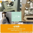 주식회사 마마(마마캣) 이미지