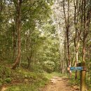 남적2동 마을회관 | 상주 천봉산 - 여름에 더욱 빛나는 상주 3악(석악)