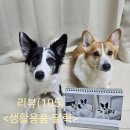 퍼피플래닛 | (고급스런 달력추천)추억의 탁상달력 퍼블로그 사용후기