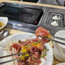 현이양이 이미지