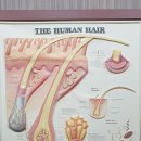 하루아늑 이미지