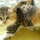 서원동-10 이미지